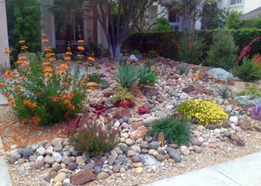 Landscape in Carmel Valley