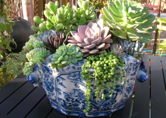 Custom Container Designs