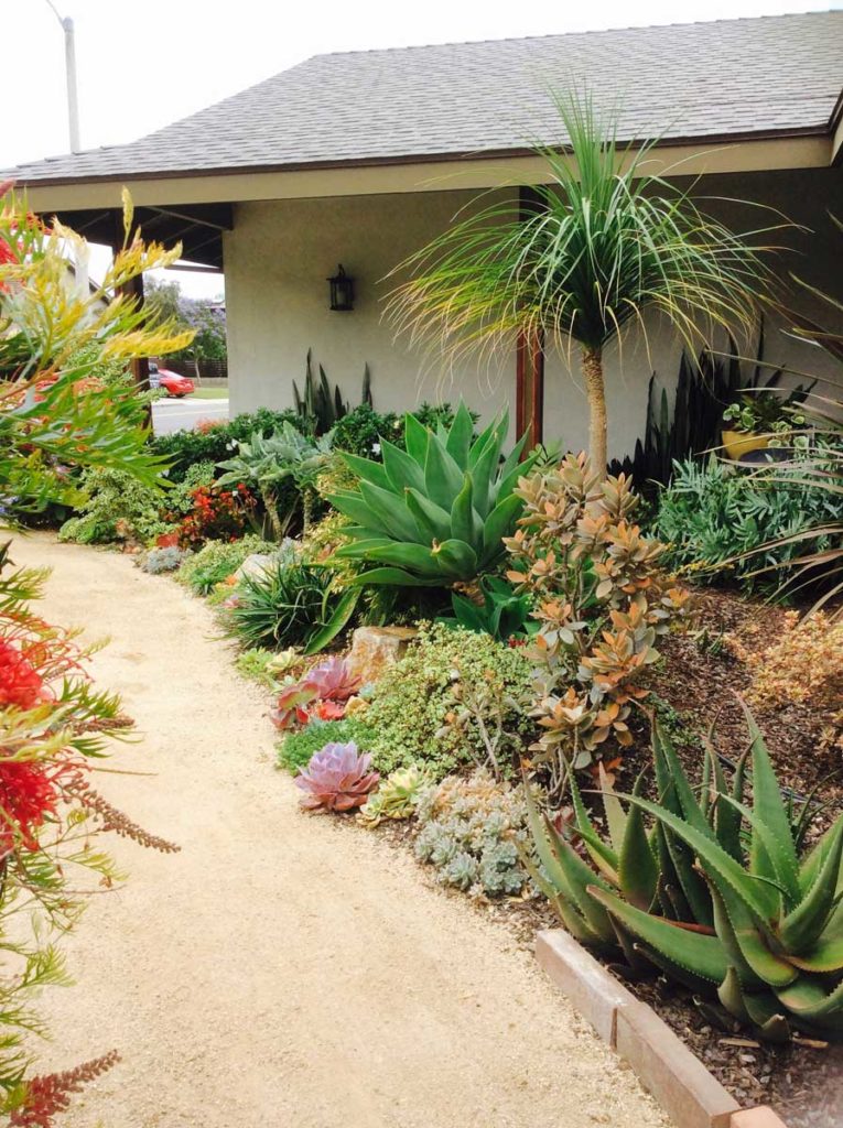 University City Landscape CW Design and Landscaping